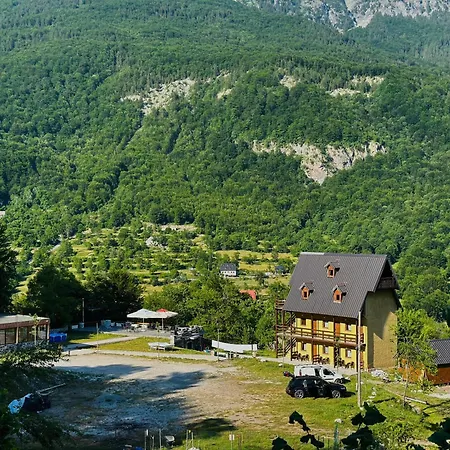Gjoni 泰斯