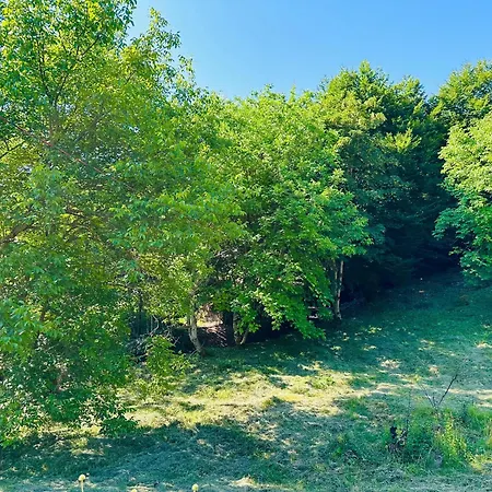 Gjoni بيت ضيافة 3*