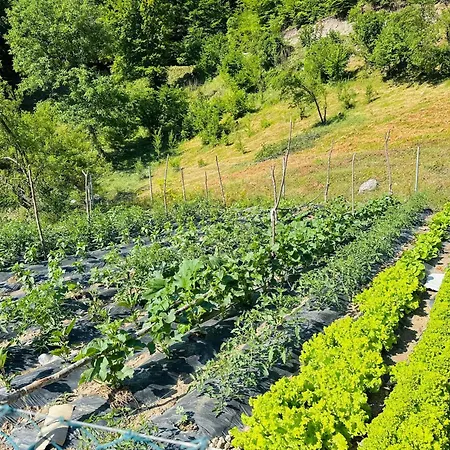 Pensjonat Gjoni Theth