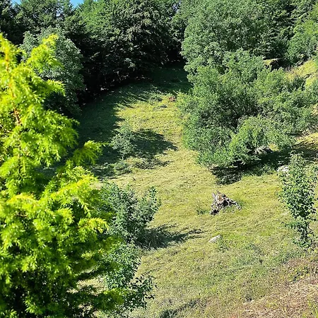 بيت ضيافة Gjoni ثيث