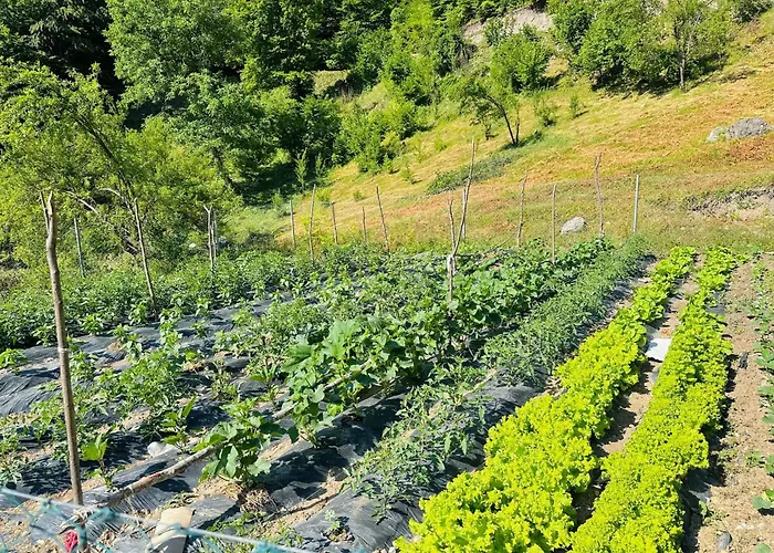 Gæstehus Gjoni Theth